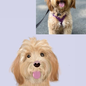 Retrato de mascota