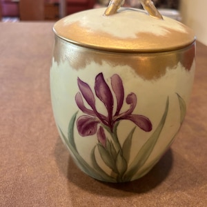 Limoges France Biscuit Jar IRISES T&V France