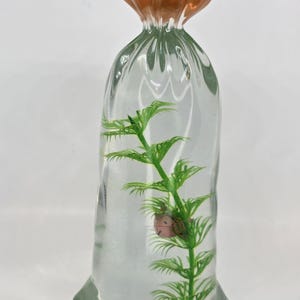May include: A clear glass vase shaped like a bag, with a brown top and a green plant inside. The plant has small green leaves and a pinkish-red object. The vase is on a white background.