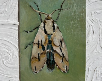 Butterfly Art Painting , Butterfly Oil Painting, Butterfly Original Oil Painting, Small Beige Butterfly, Butterfly Papilionea, 5x7 inches