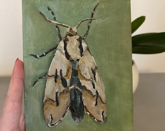May include: A small painting of a moth with brown, white, and black wings on a green background.