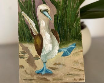Blue footed boobies ,Sula Painting Original, Sula nebouxii,  Oil Painting  Artwork Bird Sula Wall Art Bird Lover Gift 5 x 7 inch