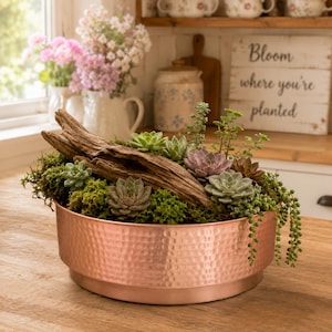 May include: A round, hammered copper planter filled with a variety of green and purple succulents, vibrant green moss, and a piece of weathered driftwood. The planter has a wide, cylindrical shape with a textured, dimpled surface finish.