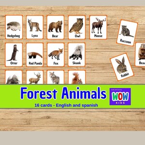 フラッシュ カード、森の動物、就学前のフラッシュカード、印刷可能な学習教材、動物教育の資料
