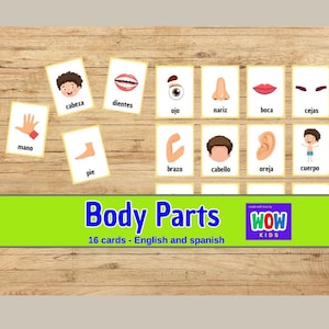 Flash Cards, Preschool Flashcards, body parts  flashcards, image Cards for Kids, Printables Learning Materials, tarjetas partes del cuerpo