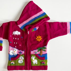 Peruvian kids cardigan Alpaca wool, sweater, hoodie, handmade, Peru, hoodie, knitted unique wool jacket toddler image 1