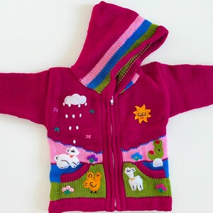 Peruvian kids cardigan Alpaca wool, sweater, hoodie, handmade, Peru, hoodie, knitted unique wool jacket toddler image 2