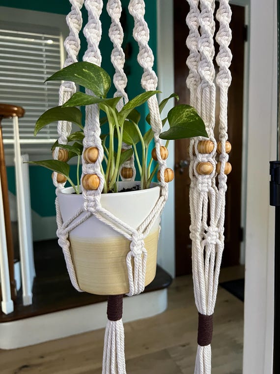 terrarium hanging plants Holiday Gift Bagged: Capsule Hanging Air Plant Terrarium