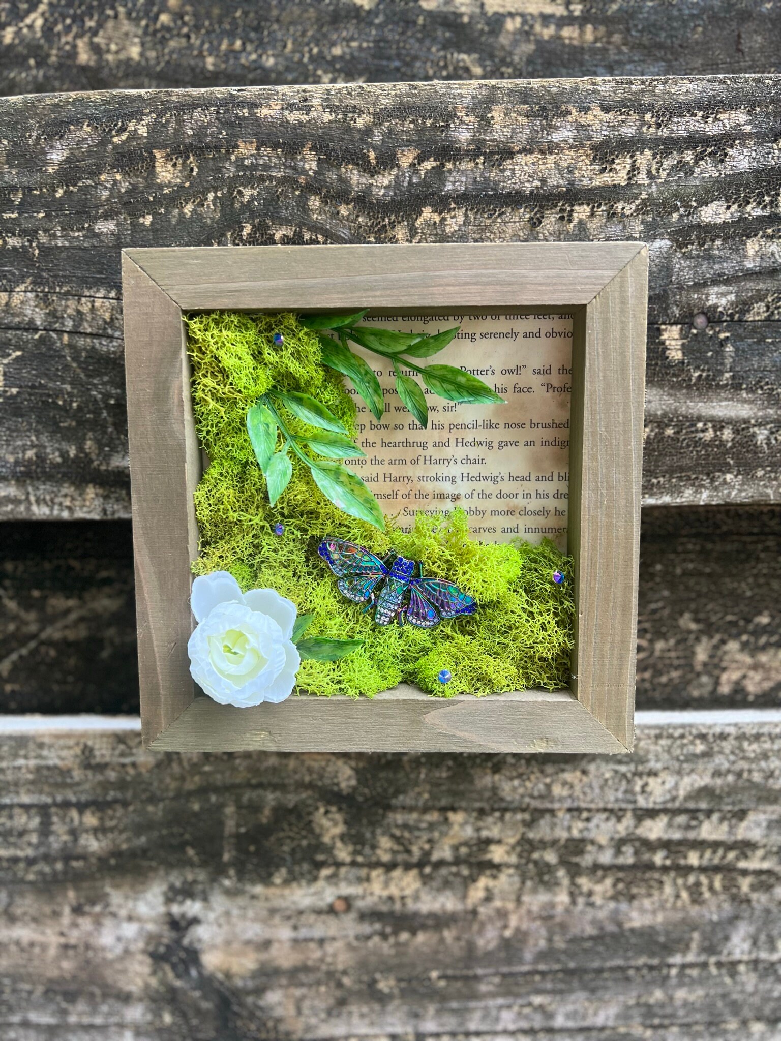 Enchanted Forest Moss & Gilded Moth Frame, Moss and Moth Wood Framed ...