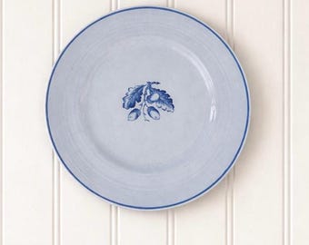 Ready to Hang Vintage Collectible Plate | Blue Mist Acorn by Booths Made in England