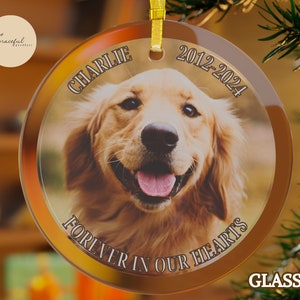 Pet Loss Sympathy Ornament,Forever in Our Hearts Custom Losing a Pet Memorial Photo Ornament,Cat Pet Remembrance Gift,Personalized Memorial