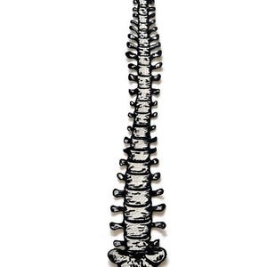 Puede incluir: Ilustraci&oacute;n en blanco y negro de una columna vertebral humana. La columna vertebral se representa con un estilo anat&oacute;mico detallado, con cada v&eacute;rtebra y la forma general claramente definidas. La obra de arte est&aacute; sobre un fondo blanco.