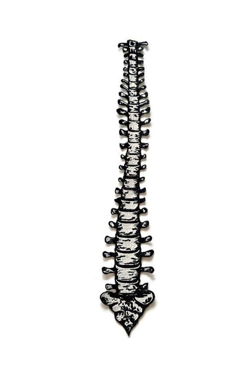 Puede incluir: Ilustraci&oacute;n en blanco y negro de una columna vertebral humana. La columna vertebral se representa con un estilo anat&oacute;mico detallado, con cada v&eacute;rtebra y la forma general claramente definidas. La obra de arte est&aacute; sobre un fondo blanco.