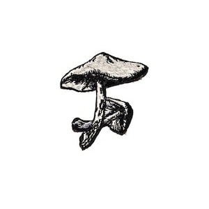 Mushroom  embroidered iron on patch