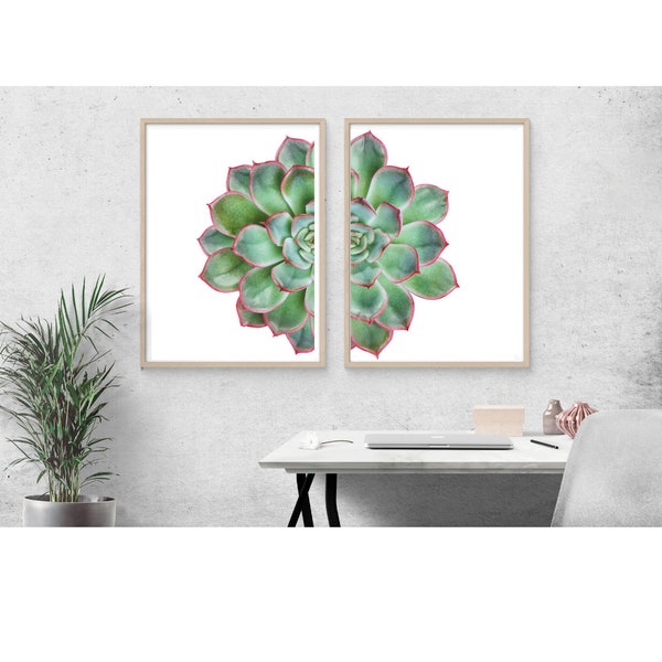 Set Of 2 Prints Botanical Print, Botanik Wall art , Succulent Wall Art , Succulent Print set , Instant Download