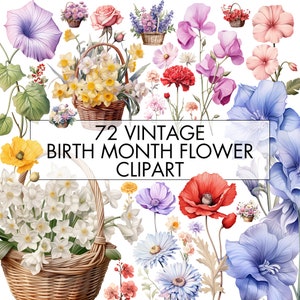 Paquete de imágenes prediseñadas de flores del mes de nacimiento, flores PNG del mes de nacimiento vintage, flores de nacimiento primarias y secundarias, imágenes prediseñadas florales vintage, uso comercial