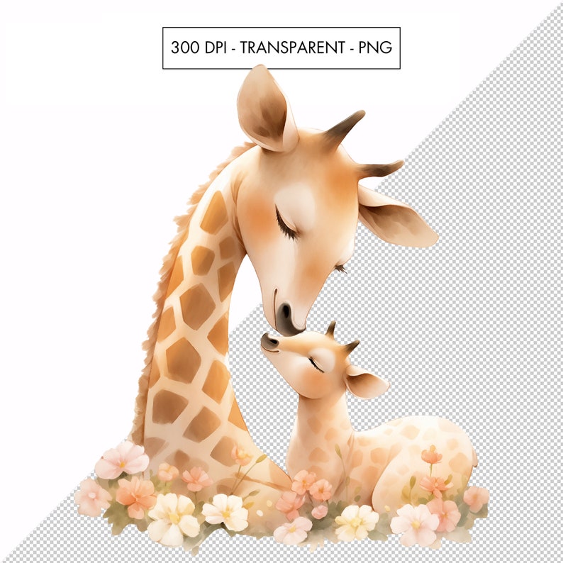 May include: A watercolor illustration of a mother giraffe and her baby giraffe. The mother giraffe is leaning down to nuzzle her baby. They are surrounded by pink and white flowers.
