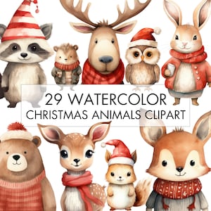 Watercolor Woodland Christmas Animals Clipart Bundle, Watercolor Woodland Animals, Transparent PNG, Commercial Use, Digital Download