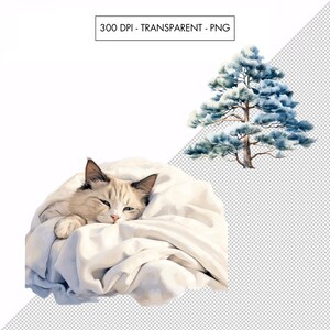 May include: A white cat with blue eyes is curled up and sleeping in a white blanket. The cat is lying on its side with its head resting on its paws. The cat's fur is soft and fluffy.