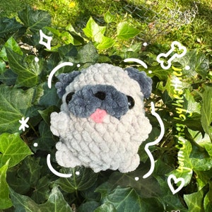 Pug Cutie