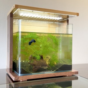 KYOTO: Designer Platform for Aquarium / Terrarium