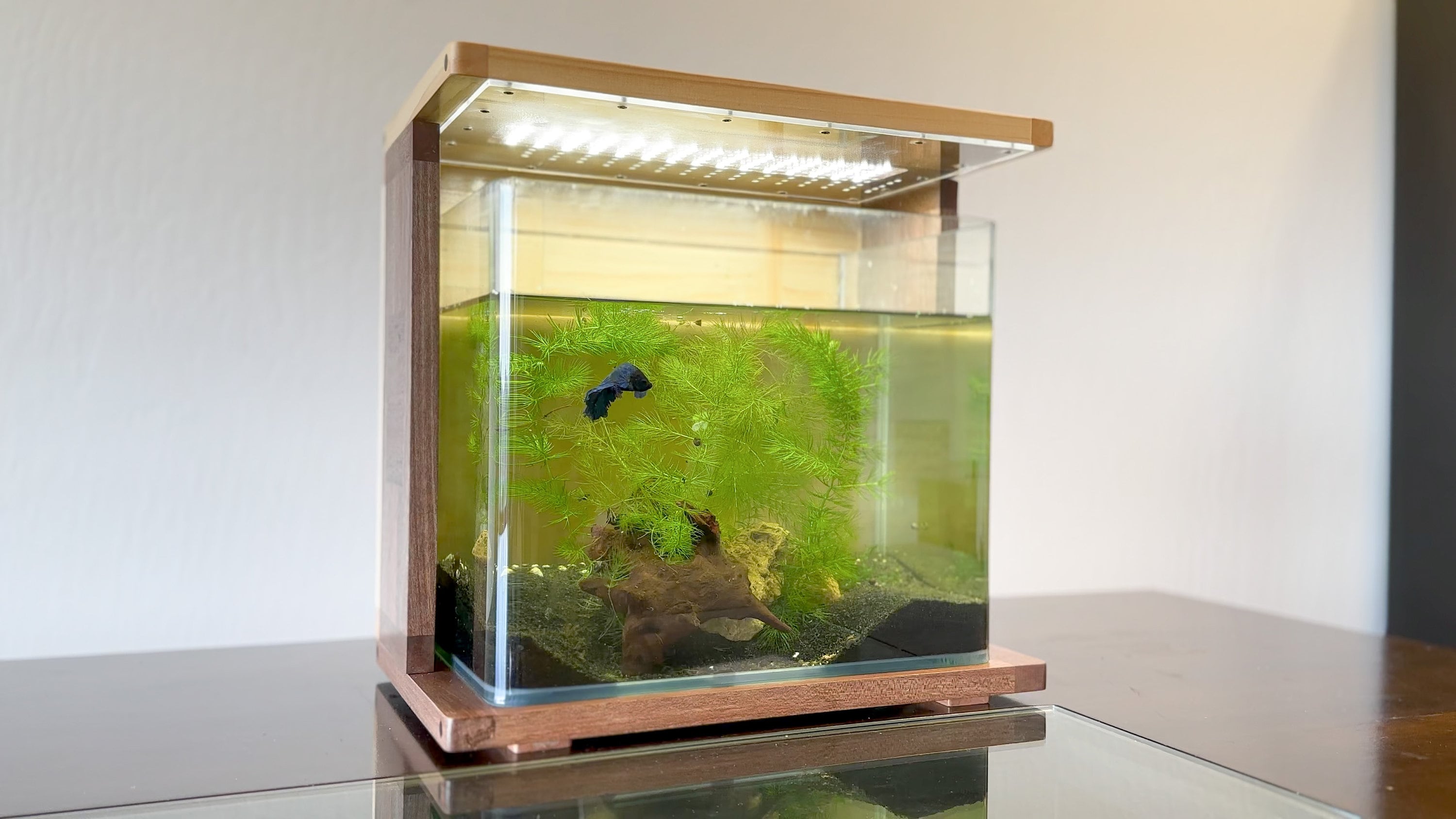 Self-cleaning Betta Fish Aquarium Kit With Adjustable Heater LED River  Stones Food Lid One Gallon 