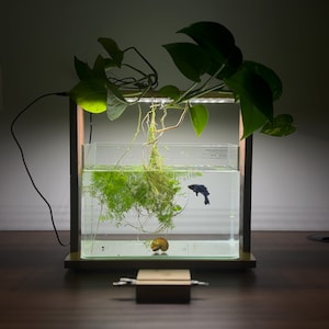 SEOUL: Designer Platform for Aquarium / Terrarium