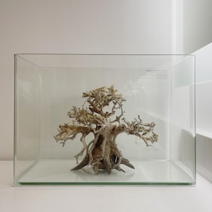 Nano Bending Aquarium 3 Gal