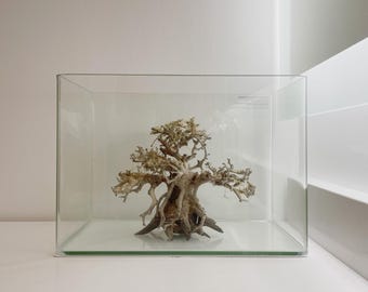 Nano buigaquarium 3 gal