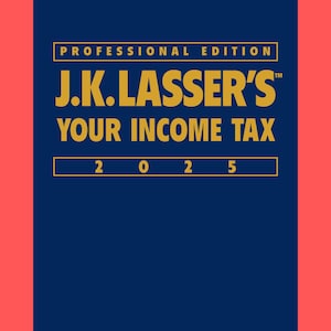 Your Income Tax 2025  Professional Edition  Maximize Your Tax Savings  Expert Tax saving strategies How to file taxes properly - Digital PDF