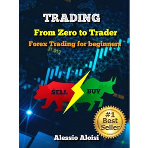 Forex Trading Guide: van nul tot handelaar (digitale pdf)
