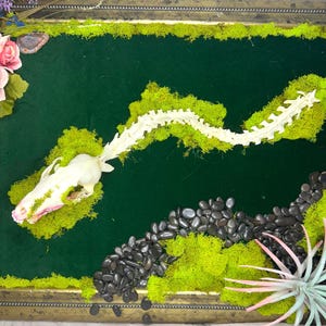 ENORME (1,06 m) Caveira de raposa surreal e serpente espinhosa com piercings nadando em musgo | Flor de caveira de cristal | Suporte de parede com 107 cm de largura