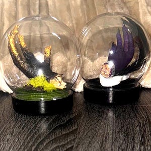 May include: Two glass globe terrariums with black bases. One contains a black and gold claw, the other a purple hand with black feathers. Both have a small amount of moss. The background is a light brown fabric.