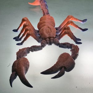 Articulated Emperor Scorpion