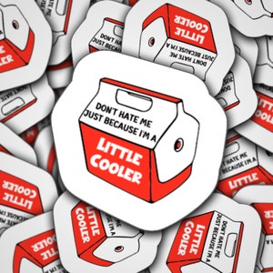 Stickers - Laminated - Lunch Box - Little Cooler - Funny - Cooler - Ice Chest