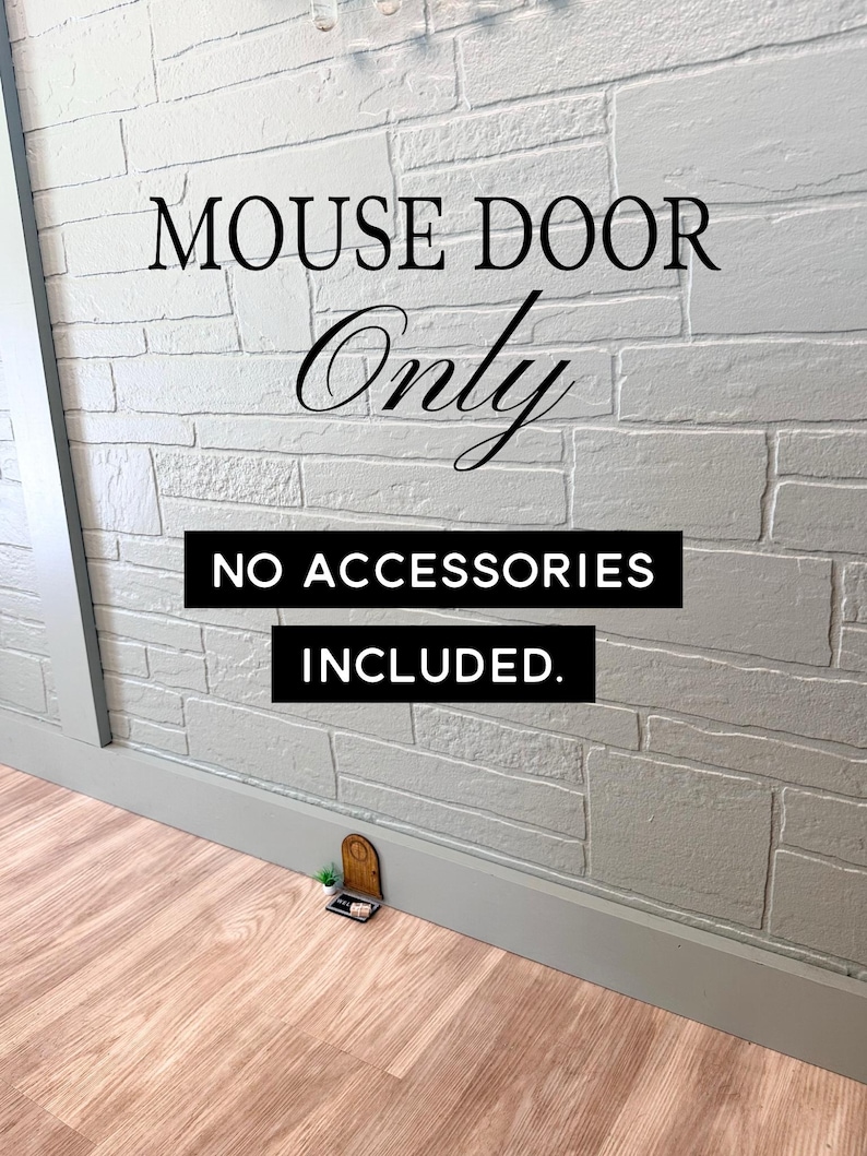 Mouse Hole Door / Baseboard Mouse Door / Mouse House / Miniature Door ...