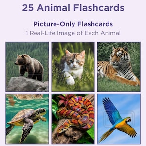 Puede incluir: Un juego de 25 tarjetas didácticas de animales con imágenes reales. El texto dice 25 Animal Flashcards, Picture-Only Flashcards y 1 Real-Life Image of Each Animal. Las tarjetas muestran un oso pardo, un gato, un tigre, una tortuga marina, una serpiente y un loro.