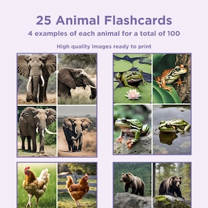 25 schede didattiche sugli animali - Schede didattiche stampabili per l'istruzione, migliora l'apprendimento con schede in stile Montessori per bambini, download digitale istantaneo