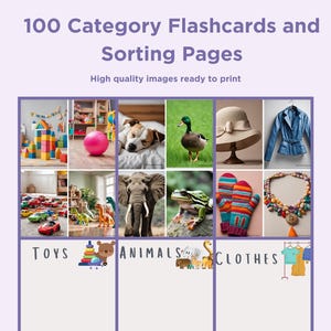 Categorie afdrukbare flashcardbundel: dingen die bij elkaar passen Set met 100 afbeeldingen en sorteerpagina's, perfect voor school- of therapiesessies