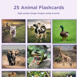 Engaging Animal Flashcards: 25 Printable Flashcards Ideal for Montessori & ABA Therapy. Enhance Early Learning Now with Instant Download