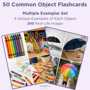 May include: A set of 50 common object flashcards titled 50 Common Object Flashcards, Multiple Exemplar Set, 4 Unique Examples of Each Object, 200 Real-Life Images. The cards feature photographs of crayons in various colors and umbrellas in different styles.