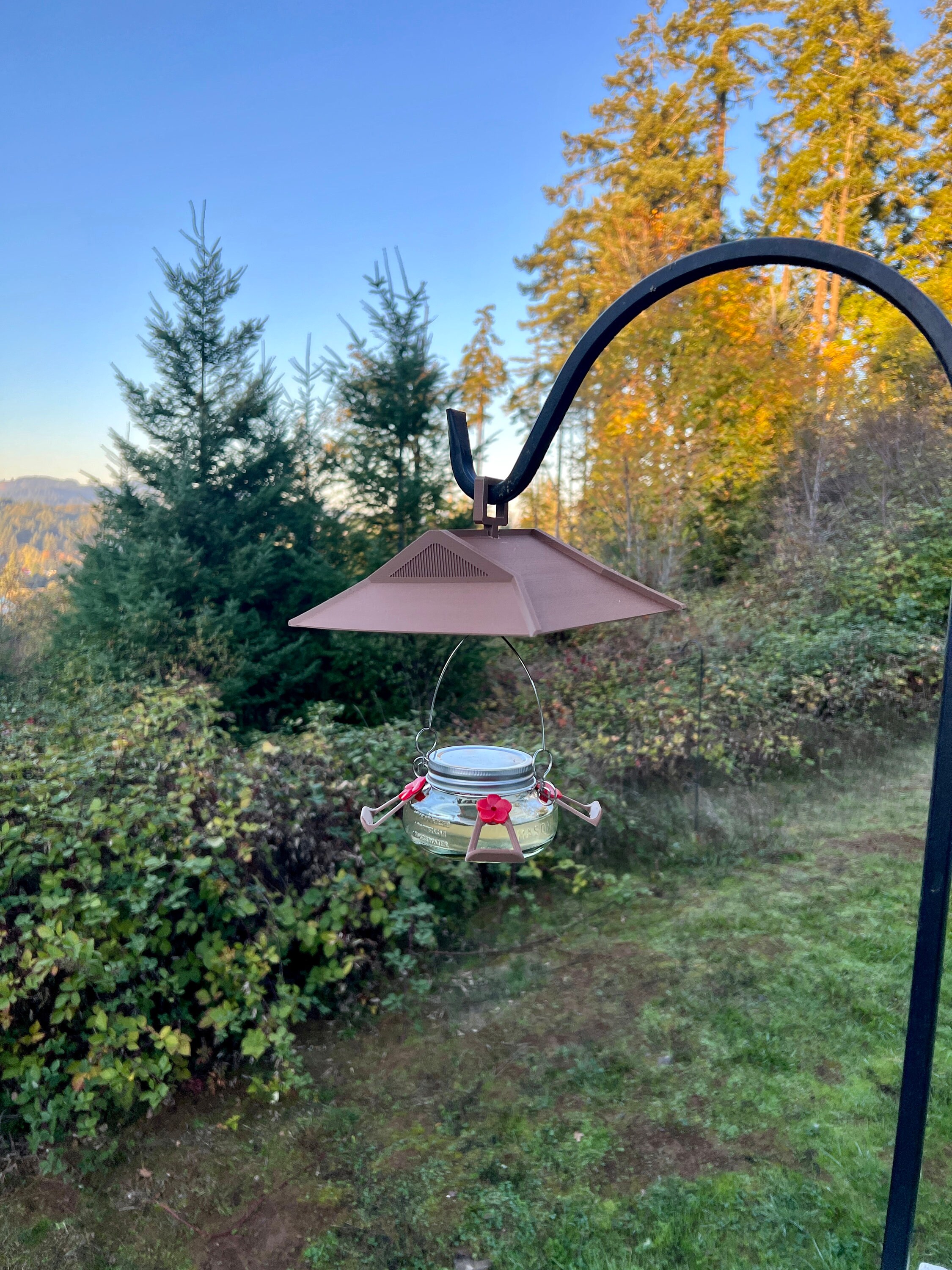 Hummingbird and Bird Feeder Rain and Sunshade Protector Etsy