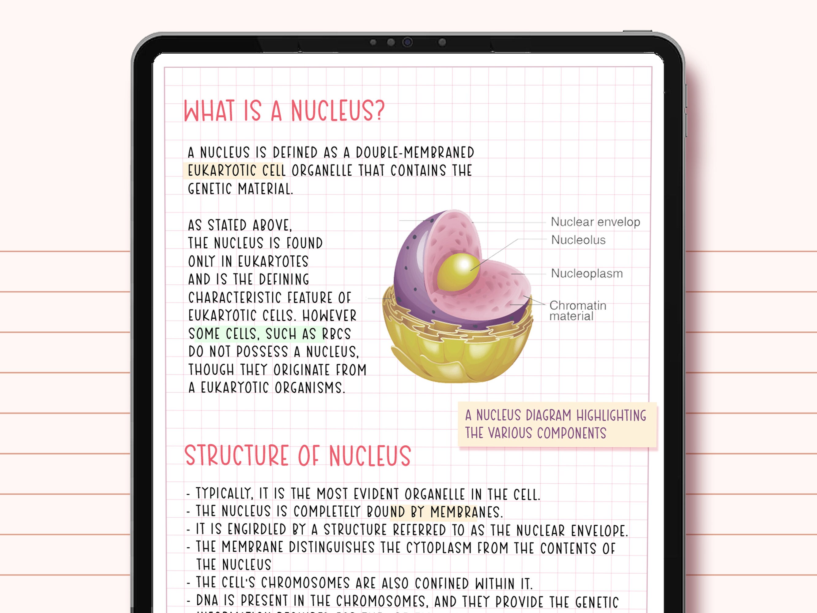 Neat Handwriting Font for Goodnotes Font Neat Font, Clean Handwritten ...