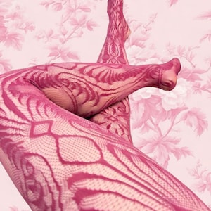 Puede incluir: Un par de medias fucsias transparentes con un intrincado patrón en relieve similar al encaje en un tono rosa más oscuro. La prenda cubre las piernas y los pies, mostrando un diseño floral y geométrico detallado y repetitivo.