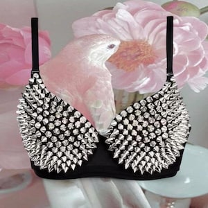 May include: Black bra with silver metal cone studs. The bra has adjustable black straps. The background features pink flowers and a pink bird.