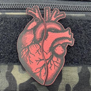 May include: A red anatomical heart patch with detailed veins and arteries. The patch is made of fabric and has a rough texture.