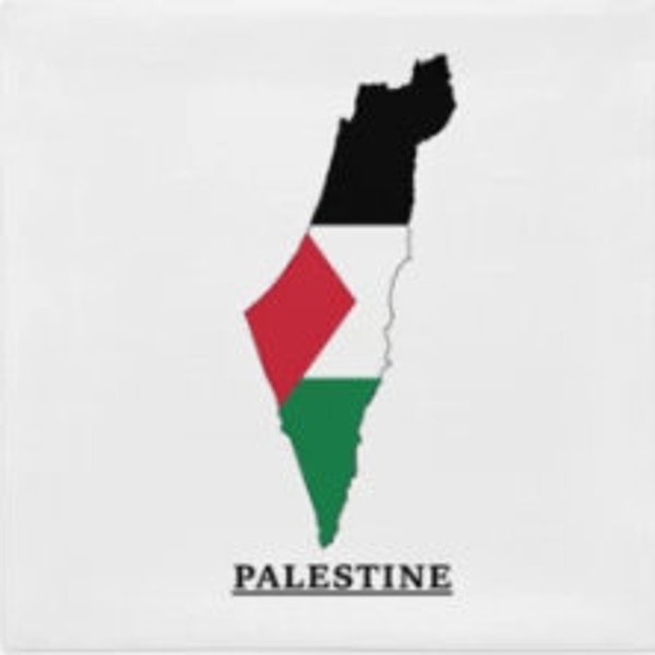 Palestina Kissenbezug