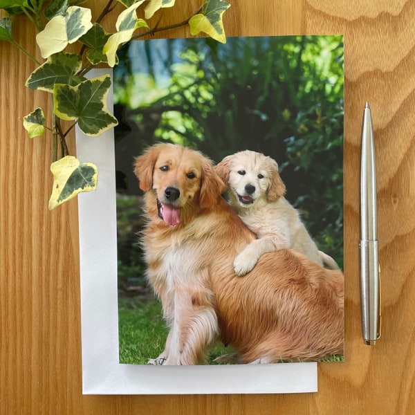 Golden Retriever Greetings Card - Golden Retriever Card - Golden Retriever Birthday Card - Dog Birthday Card - Perfect for Every Occasion!