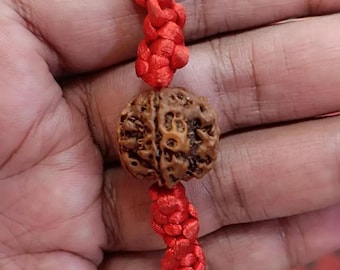 Op de afbeelding: Een close-up van een rudraksha kralenarmband. De armband heeft een enkele, getextureerde, bruine rudraksha kraal geregen op een levendig rood geweven koord. Het koord is in een decoratief patroon geknoopt.