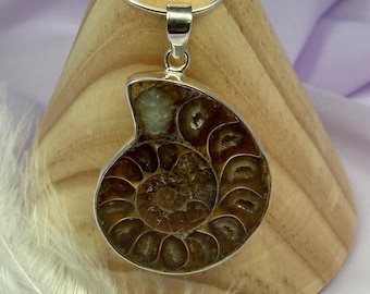 May include: Silver pendant featuring a fossilized ammonite with iridescent crystal accents. The pendant is displayed on a wooden stand.
